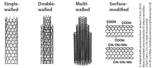 Overview on different carbon nanotube structures: single-walled (SWCNT), double-walled (DWCNT), multi-walled (MWCNT) and possible surface modifications.